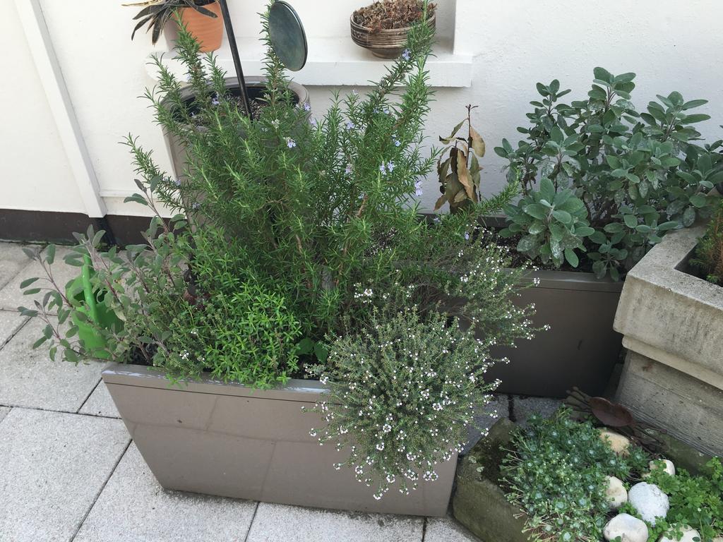 Mangolds Boutique Hotel & Fruehstuecksmeisterei 슈바인푸르트 외부 사진
